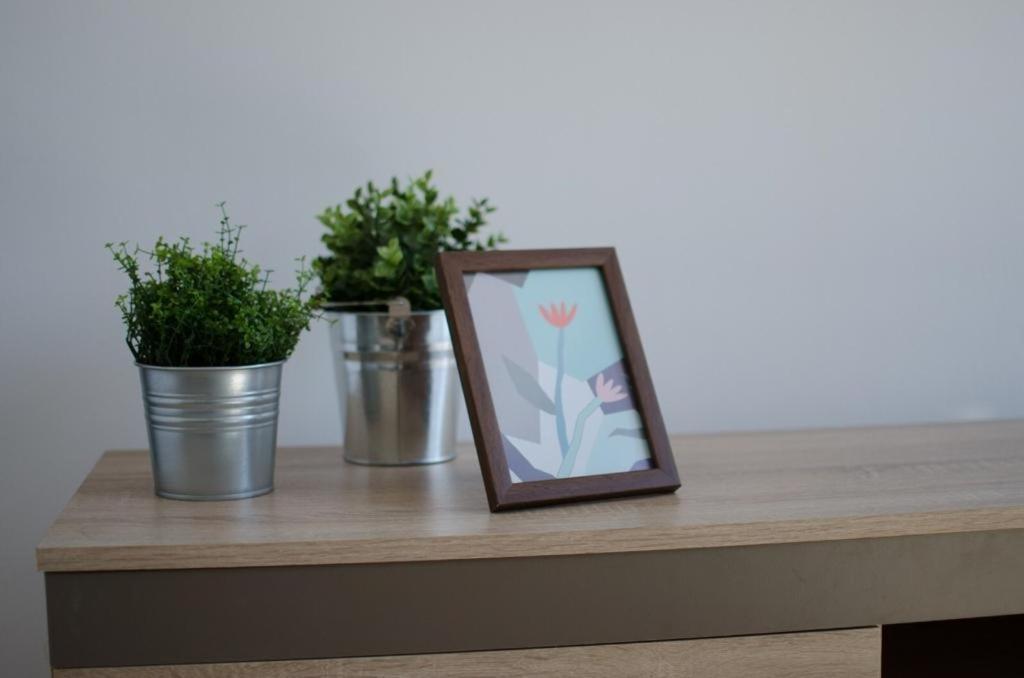Bright Apartment Near Cismigiu And Old Town บูคาเรสต์ ภายนอก รูปภาพ